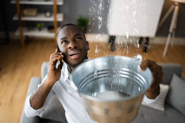 Best Flood damage cleanup  in Longmont, CO