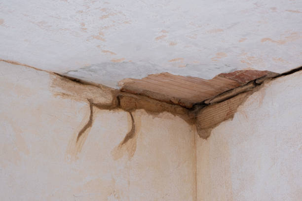 Best Basement water damage restoration  in Longmont, CO