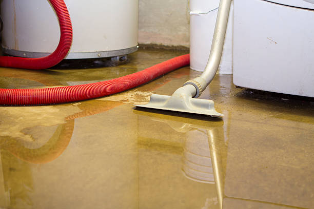 Best Residential water damage restoration  in Longmont, CO