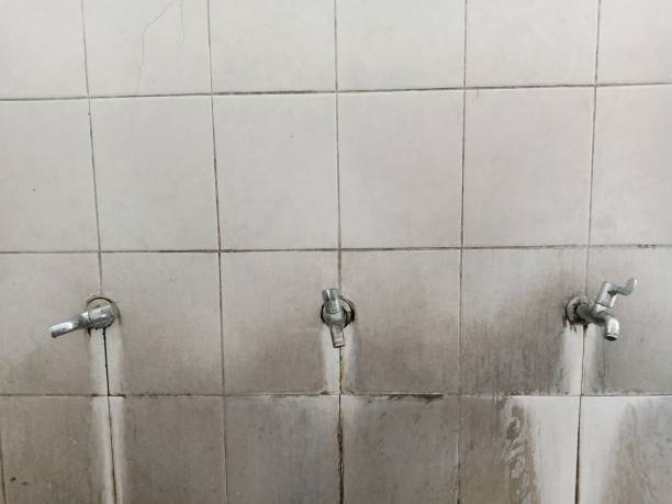 Best Fire Damage Restoration  in Longmont, CO