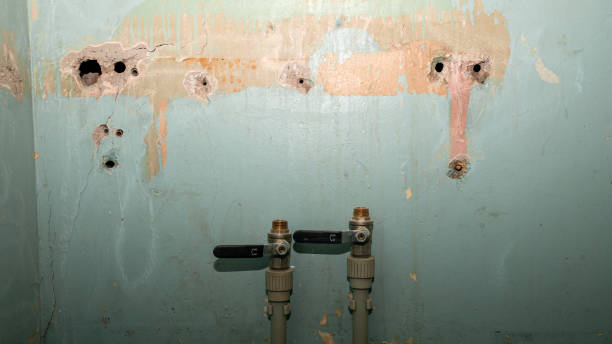 Best 24/7 water damage repair  in Longmont, CO