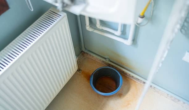 Best Commercial water damage restoration  in Longmont, CO